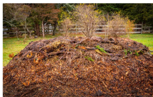 Hugelkultur garden method